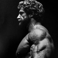 som original - IVZCALISTHENICS