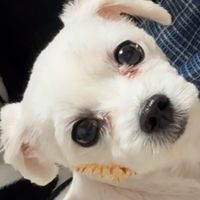 071224oo