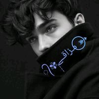 mazq313