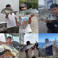 lee.fisho
