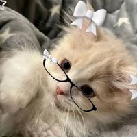 luna_sgcp