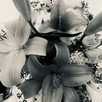 original sound - azumisayu07