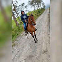 ander5mp