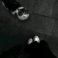 suara asli - A