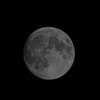 カンナムスタイル