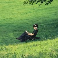 nhạc nền - NƠI TRẢI LÒNG✌🏼