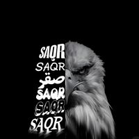 saqrstore4