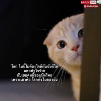 เสียงต้นฉบับ - Story_Khunhmee