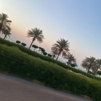 daily_life.routien.w9