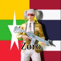 zoro22236