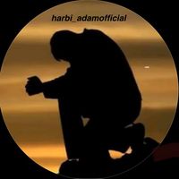 orijinal ses