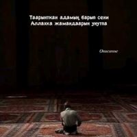 user98807329161435