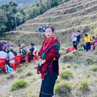 dilthapa351
