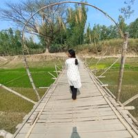 sahedaarmani