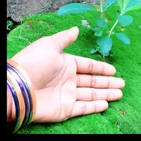 original sound - laargjfejkfr