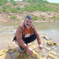 orijinal ses