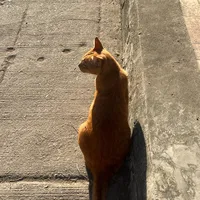 original sound - junewithsmiles0