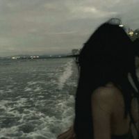 noa._8x29