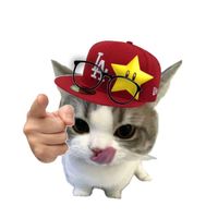 _gaidep2mai_