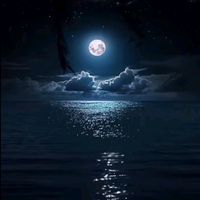 sawwalux_33