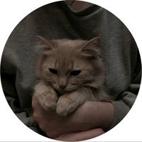 m_2005_x