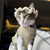 menik_bobtail