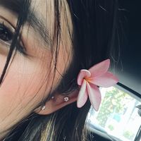 444.lauuu