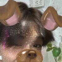 iherox_po