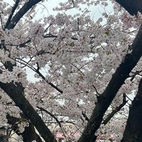 オリジナル楽曲 - akihisa1030daisuki