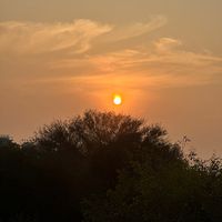 shoaib.ali0615