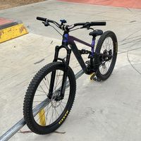 madhorse704