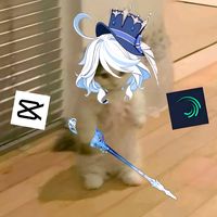 fikzisheree
