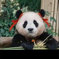 xxihuanchixigua