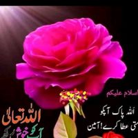 hasnain.baloach