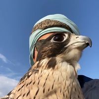 الصوت الأصلي