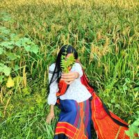arpi_sis