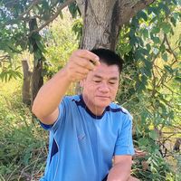 เสียงต้นฉบับ - somchom m
