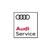 audiservicerussia