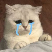 nooyim0_0