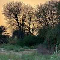 lost_in_nature7