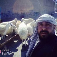 urfali.ibrahim.budan