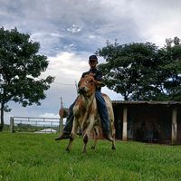 marcos.vinicius4840