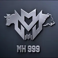 original sound - mh999_king