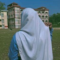 dinislam50543