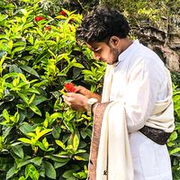 nibir716