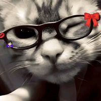 exmy_070
