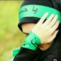 kanim833