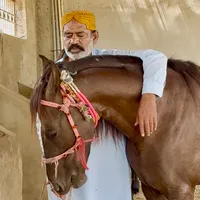 original sound - muhammadkhanbijor0