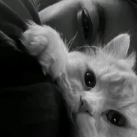 original sound - .maheen__