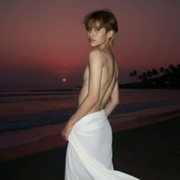 lin_coser_2004